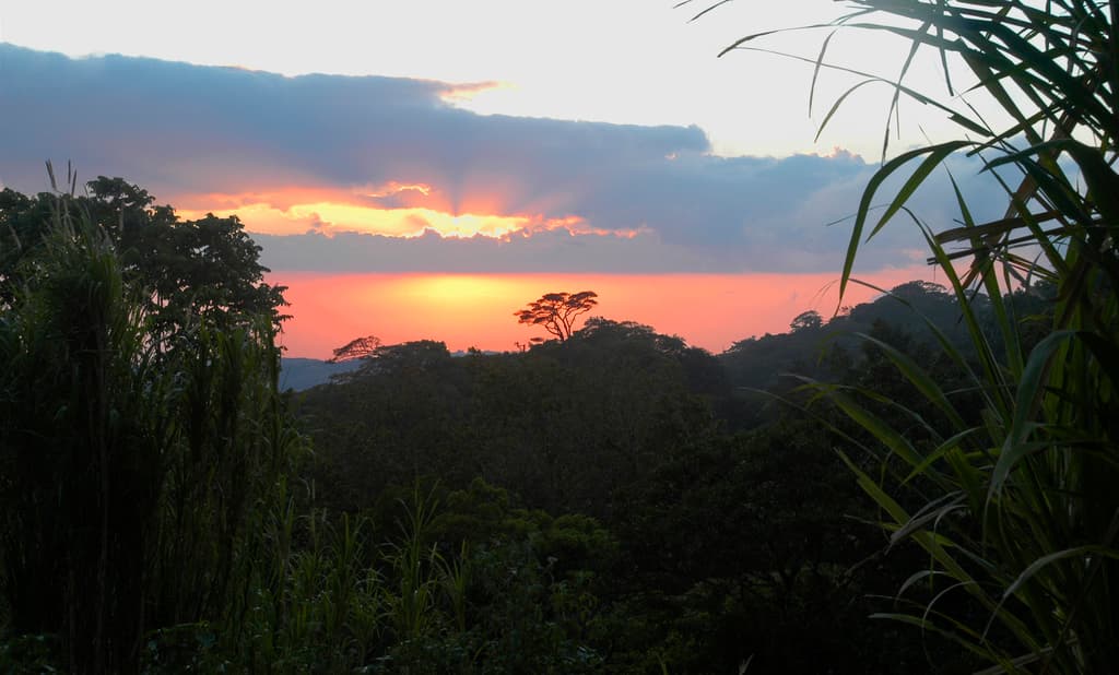 COSTA RICA: Earth’s Last Call